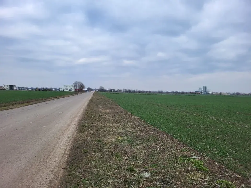 Teren de vânzare în Moara Vlăsiei, Ilfov - Oportunitate investițională strategică cu utilități la poartă - imaginea 3